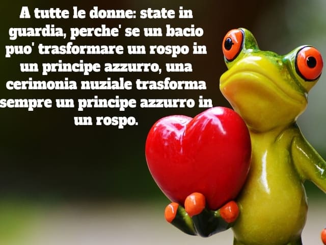 A tutte le donne: state in guardia, perche' se un bacio puo' trasformare un rospo in un principe azzurro, una cerimonia nuziale trasforma sempre un principe azzurro in un rospo.