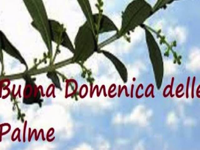 Buona domenica delle Palme