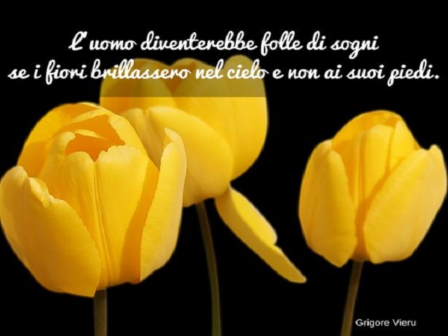 L'uomo diventerebbe folle di sogni se i fiori brillassero nel cielo e non ai suoi piedi. (Grigore Vieru)