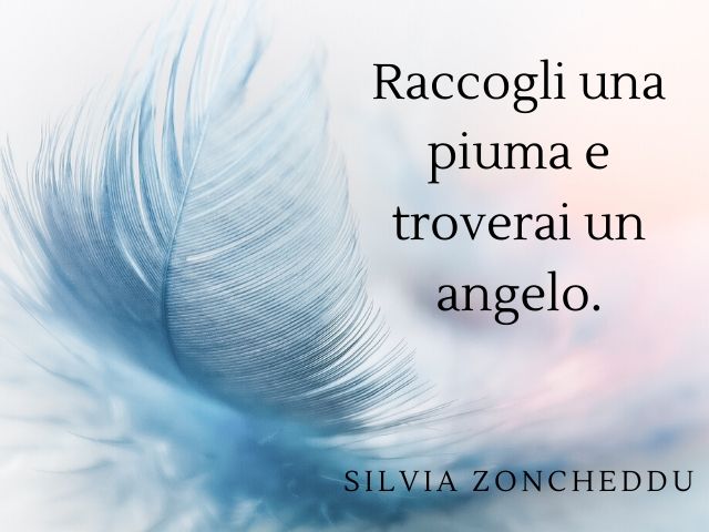 Raccogli una piuma e troverai un angelo.(Silvia Zoncheddu)