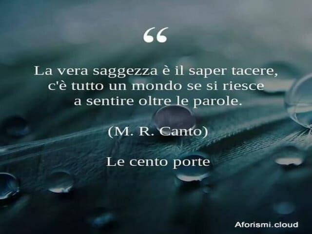 La vera saggezza è il saper tacere, c'è tutto un mondo se si riesce a sentire oltre le parole.(M.R.Canto)
