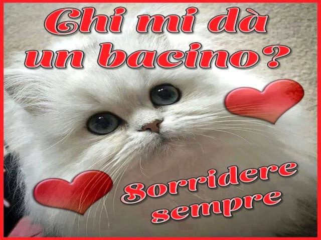 Chi mi dà un bacino? Sorridere sempre!