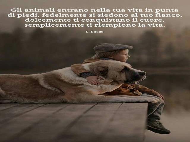 Gli animali entrano nella tua vita in punta di piedi, fedelmente si siedono al tuo fianco, dolcemente ti conquistano il cuore, semplicemente ti riempiono la vita.S. Sacco
