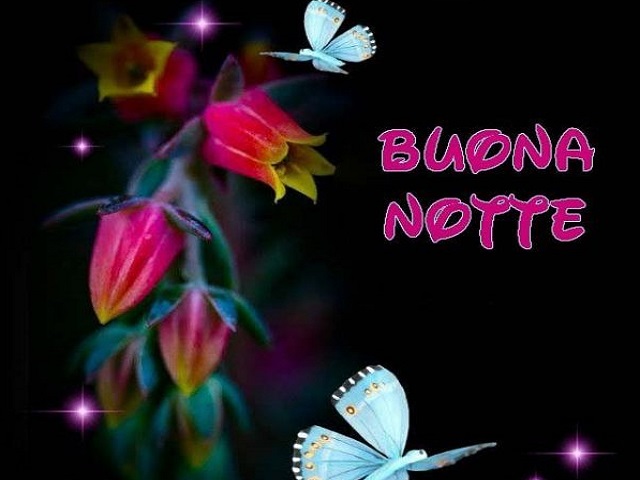 Buona notte.