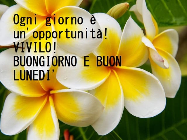 Ogni giorno è un'opportunità! Vivilo! Buongiorno e buon lunedì.