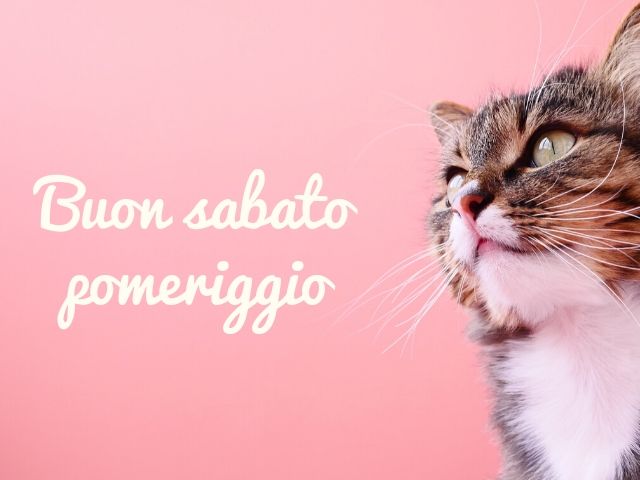 buon sabato pomeriggio