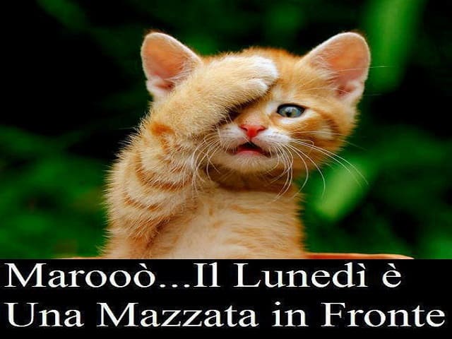 Marooò... Il Lunedì è una mazzata in fronte.
