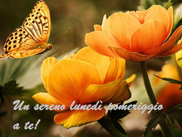 Un sereno lunedì pomeriggio a te!