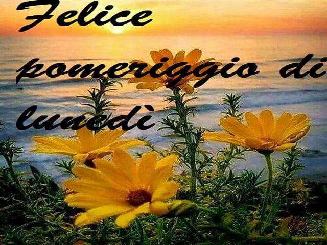 Felice pomeriggio di lunedì.