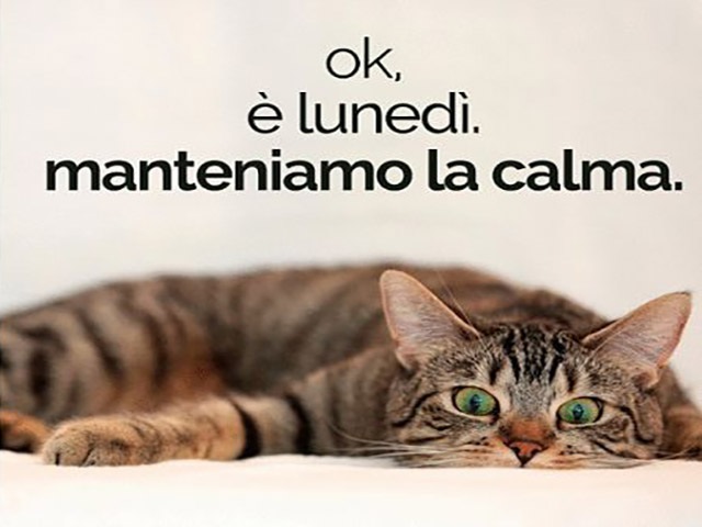 Ok. È Lunedì. Manteniamo la calma.