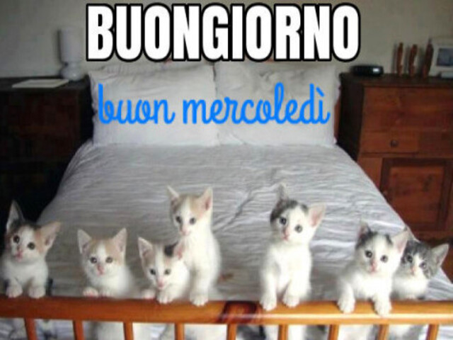 Buongiorno e buon mercoledì!