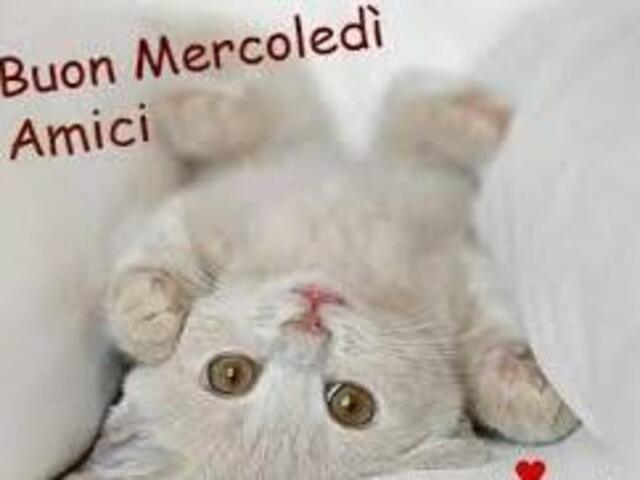Buon mercoledì amici