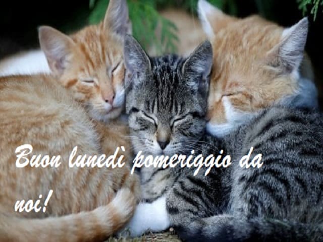 Buon lunedì pomeriggio da noi!