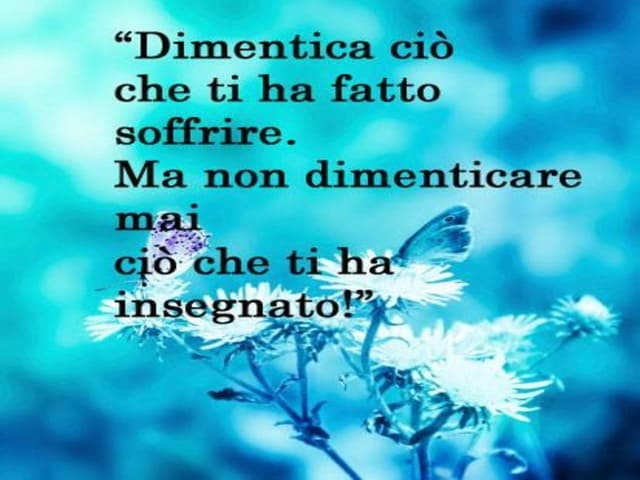 Dimentica ciò che ti ha fatto soffrire. Ma non dimenticare mai ciò che ti ha insegnato.