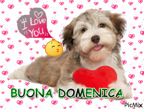 I love you! Buona domenica