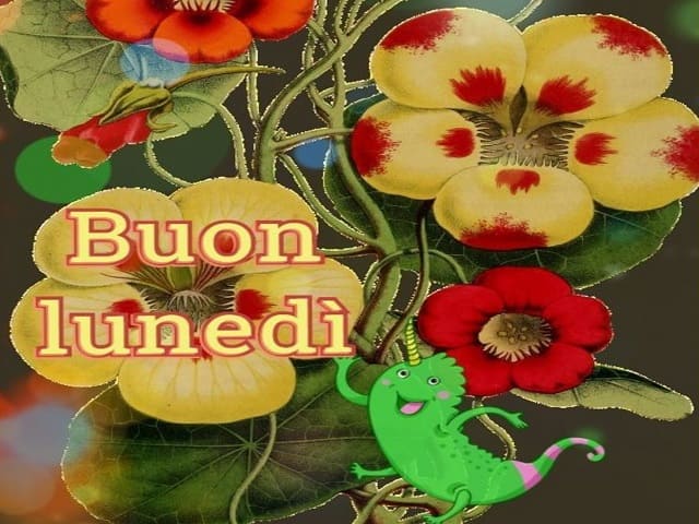 Buon lunedì.