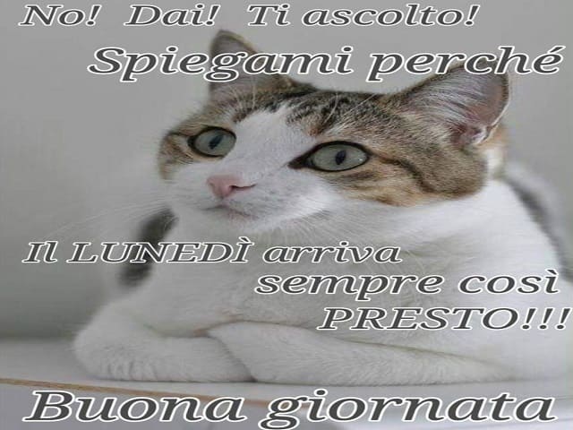 No! Dai! Ti ascolto! Spiegami perché il lunedì arriva sempre così presto!!! Buona giornata.