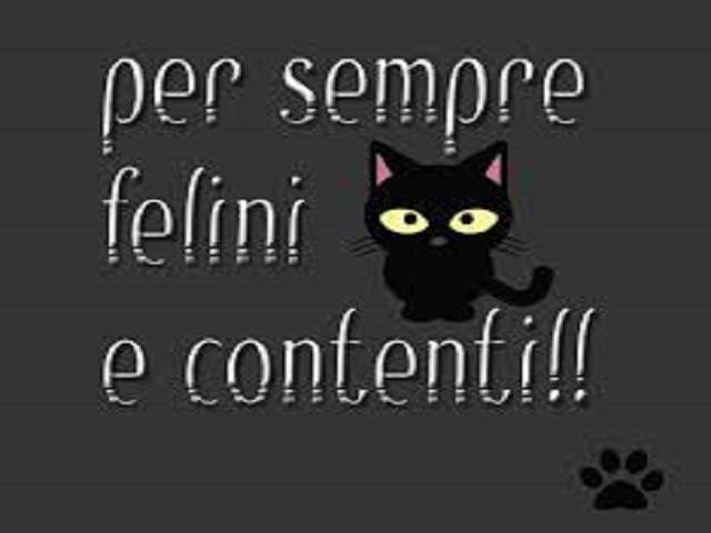Per sempre felini e contenti!!