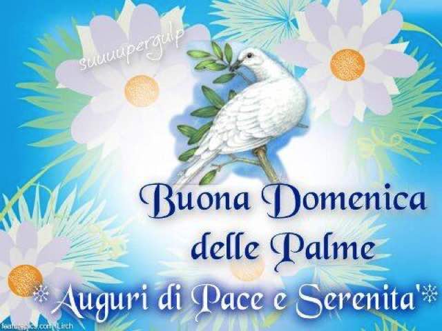 Buona domenica delle Palme. Auguri di Pace e Serenità