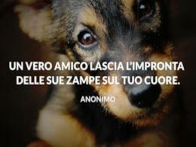Un vero amico lascia l'impronta delle sue zampe sul tuo cuore.