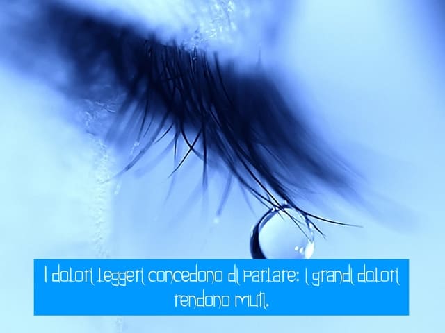 I dolori leggeri concedono di parlare: i grandi dolori rendono muti.