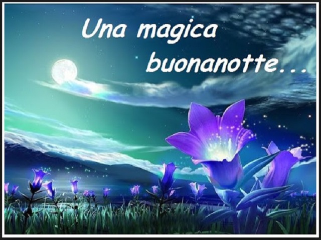 Una magica buonanotte!