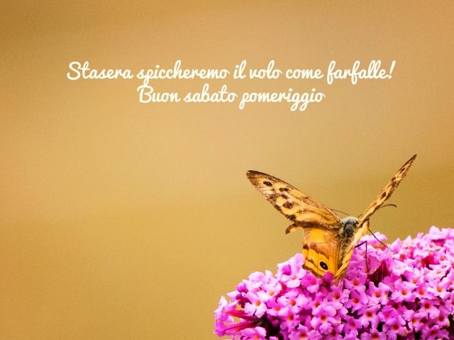 Stasera spiccheremo il volo come farfalla! Buon sabato pomeriggio
