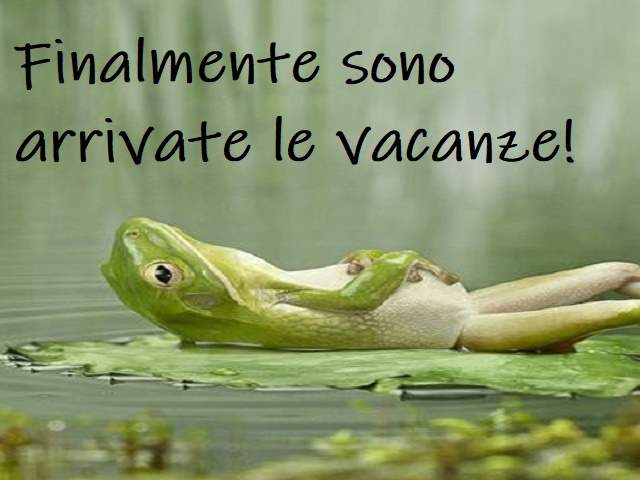 Finalmente sono arrivate le vacanze!