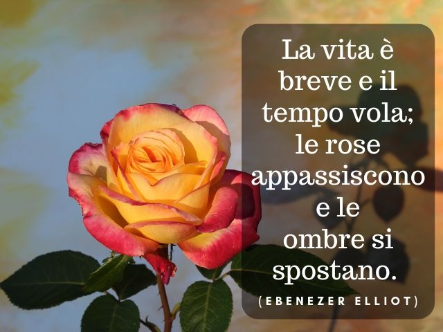 La vita è breve e il tempo vola; le rose appassiscono e le ombre si spostano.(Ebenezer Elliot)