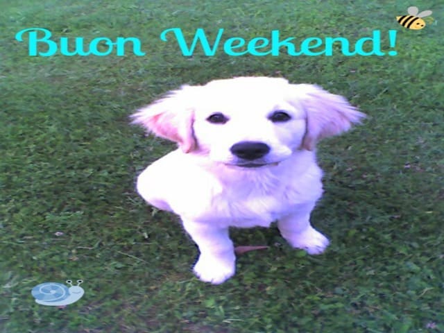 Buon weekend!