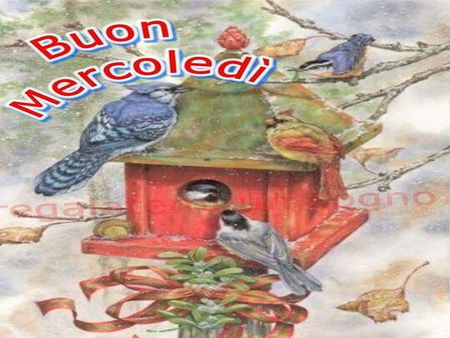Buon mercoledì