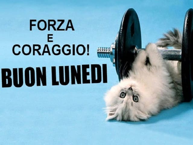 Forza e coraggio! Buon lunedì