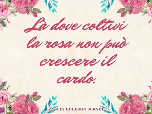 Là dove coltivi la rosa non può crescere il cardo.(Frances Hodgson Burnett)