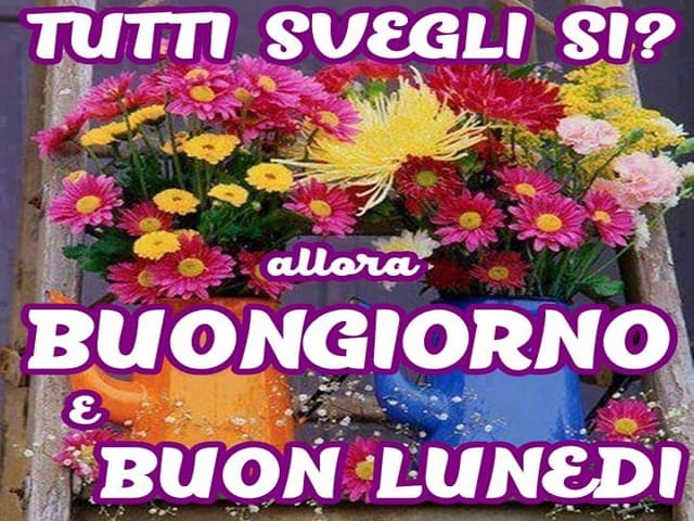 Tutti svegli, sì? allora Buongiorno e buon lunedì.