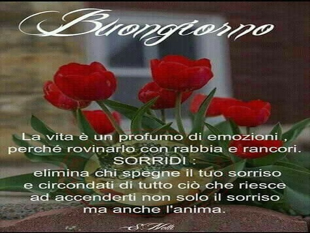 La vita è un profumo di emozioni, perché rovinarlo con rabbia e rancori. SORRIDI: elimina chi spegne il tuo sorriso e circondati di tutto ciò che riesce ad accenderti non solo il sorriso ma anche l'anima.