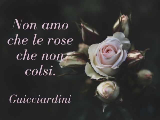Non amo che le rose che non colsi.(Guicciardini)