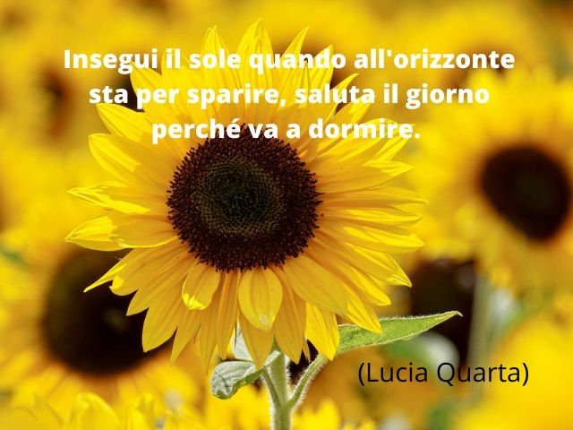 Insegui il sole quando all'orizzonte sta per sparire, saluta il giorno perché va a dormire.(Lucia Quarta)