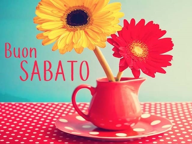 Buon sabato.