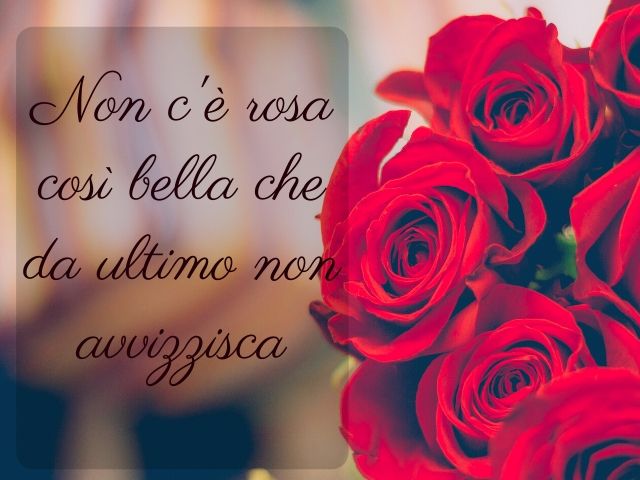 Non c'è rosa così bella che da ultimo non avvizzisca.