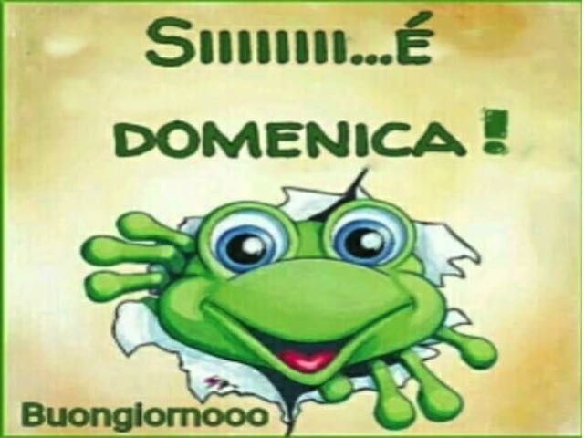 Siiiiiii... È domenica!! Buongiornoooo