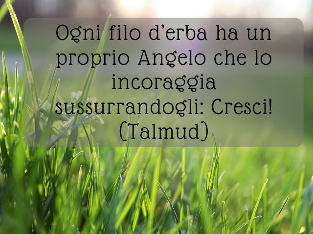 Ogni filo d’erba ha un proprio Angelo che lo incoraggia sussurrandogli: Cresci!(Talmud)