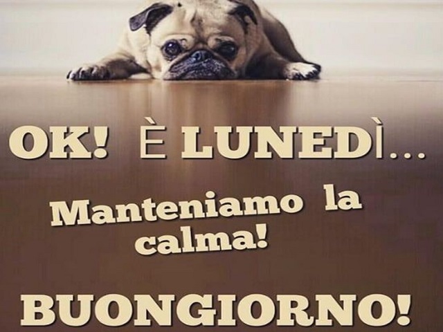 Ok! È lunedì... Manteniamo la calma! Buongiorno!