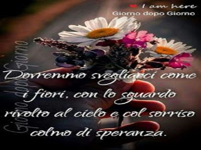 Dovremmo svegliarci come i fiori, con lo sguardo rivolto al cielo e col sorriso colmo di speranza.