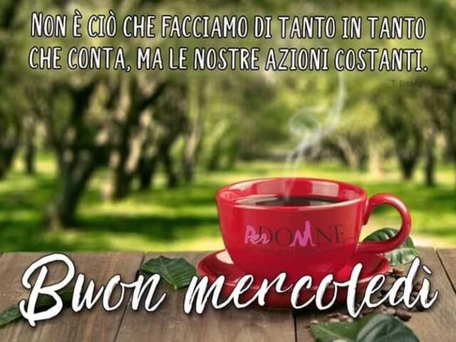 Non è ciò che facciamo di tanto in tanto che conta, ma le. nostre azioni costanti. Buon mercoledì