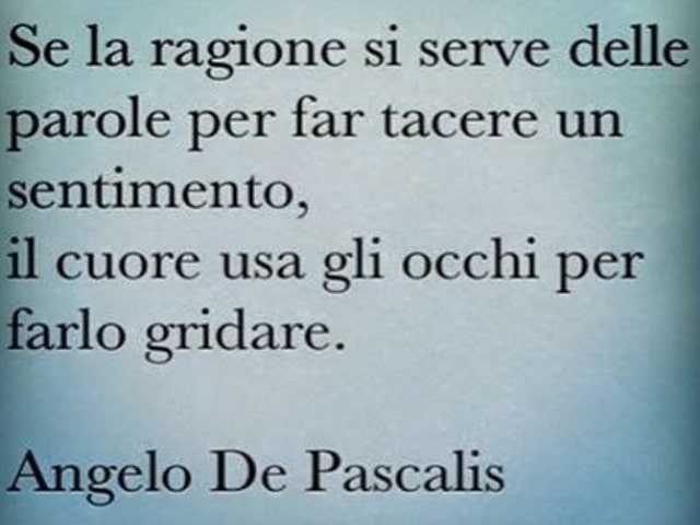 Se la ragione si serve delle parole per far nascere un sentimento, il cuore usa gli occhi per farlo gridare.(Angelo Da Pascalis)