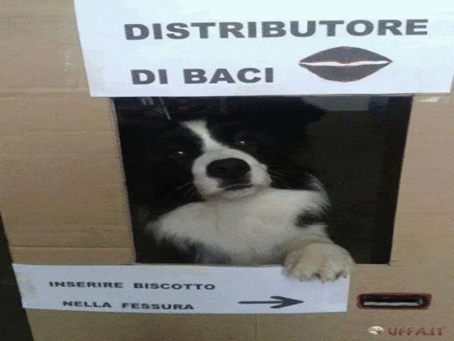 Distributore di baci. Inserire biscotto nella fessura.