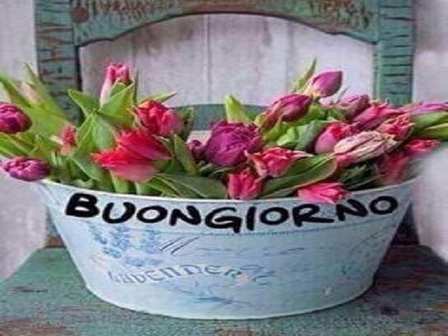 Buongiorno