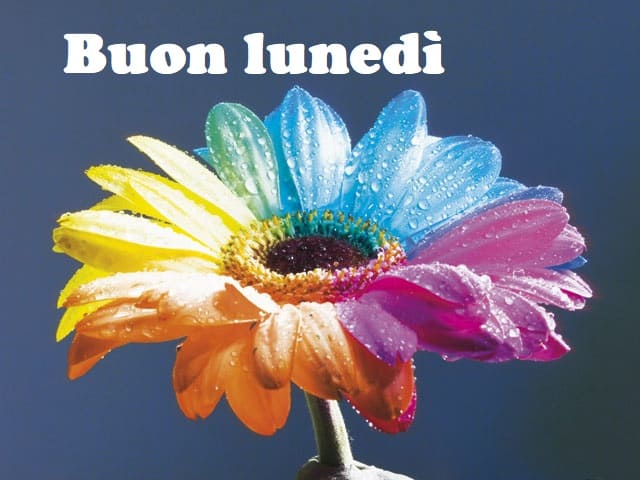 Buon lunedì.