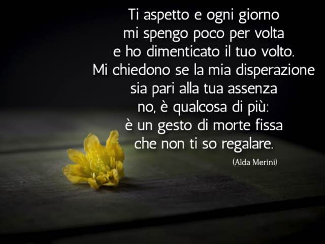 Ti aspetto e ogni giorno mi spengo poco per volta. e ho dimenticato il tuo volto. Mi chiedono se la mia disperazione sia pari alla tua assenza no, è qualcosa di più: è un gesto di morte fissa che non ti so regalare. (Alda Merini)