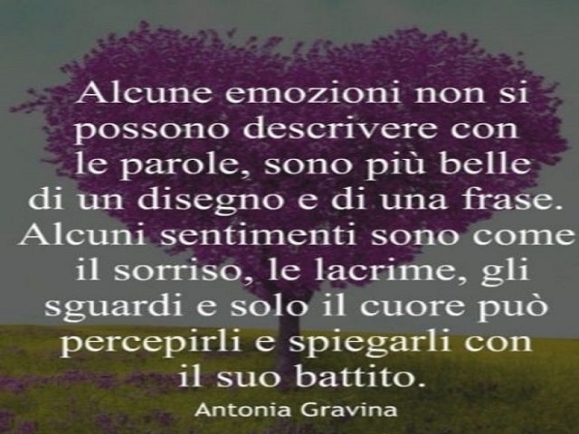 Alcune emozioni non si possono descrivere con le parole, sono più belle di un disegno e di una frase. Alcuni sentimenti sono come il sorriso, le lacrime, gli sguardi e solo il cuore può percepirli e spiegarli con il suo battito.(Antonia Gravina)